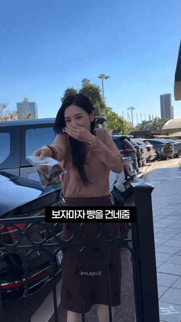 도축장에서 5년을 일하며 깨달은 비밀: 동물들은 오늘 자신이 죽는다는 걸 모두 알고 있다