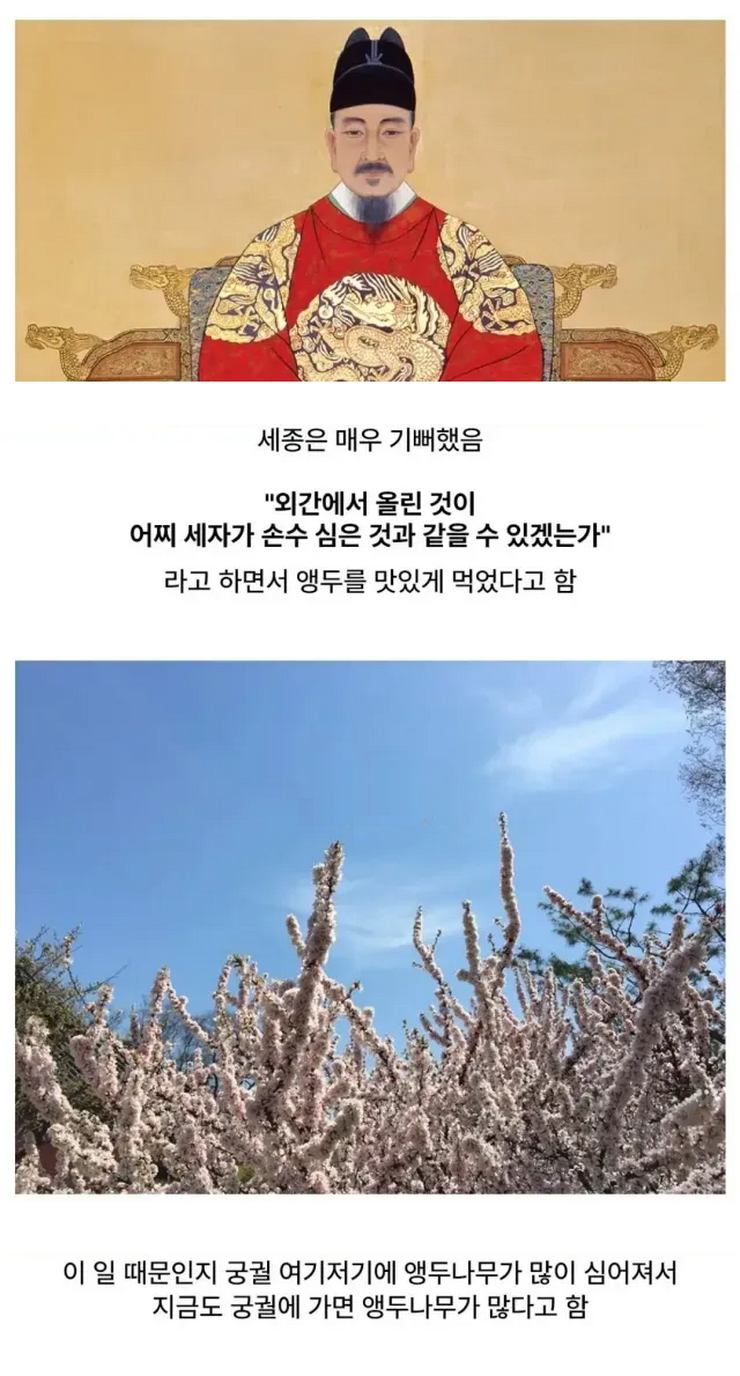 경복궁에 앵두나무가 많은 이유
