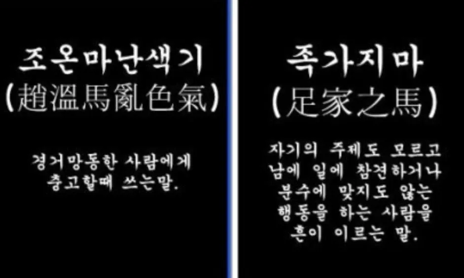 [속보] 민주당 진성준도 미국 비자 발급 거부