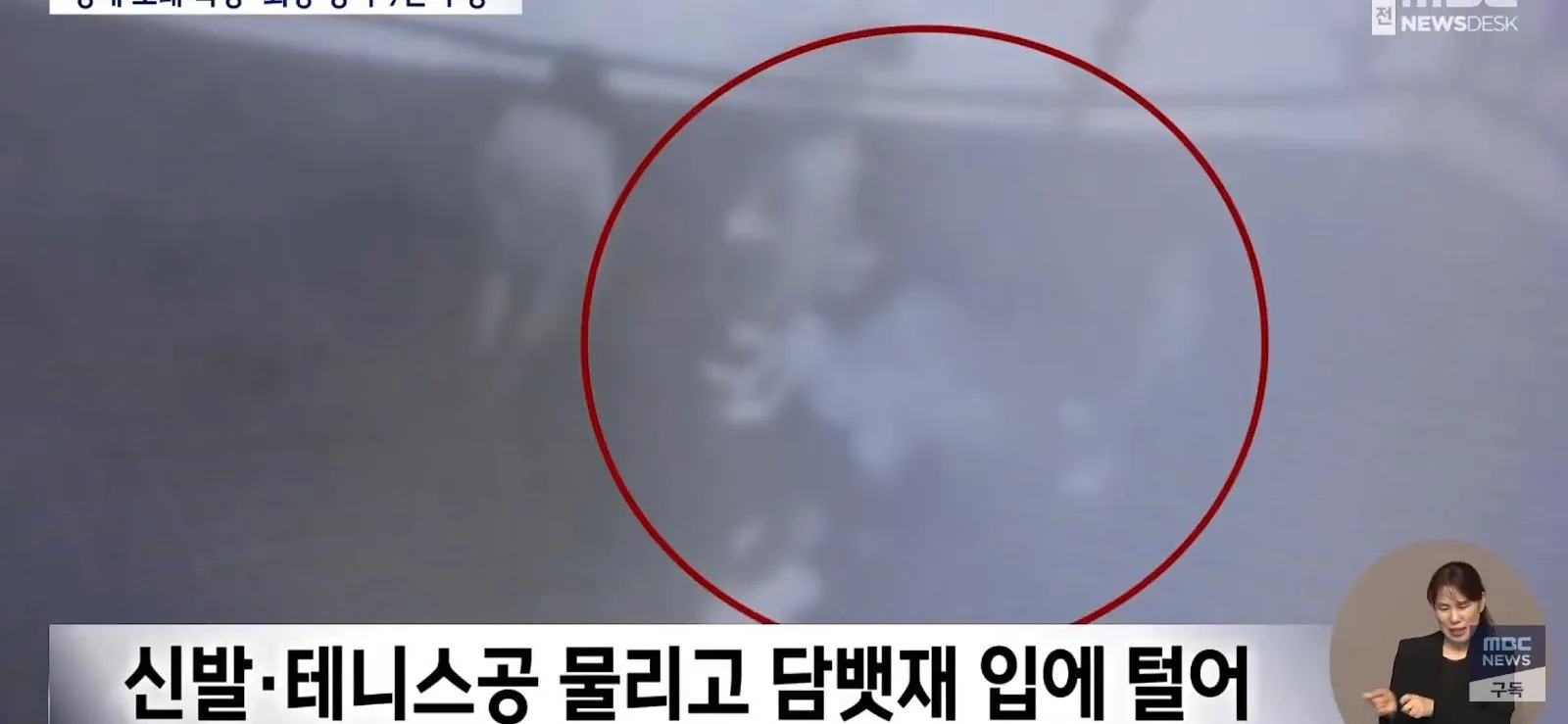 학폭 가해자 부모가, 판사에게 하는 말