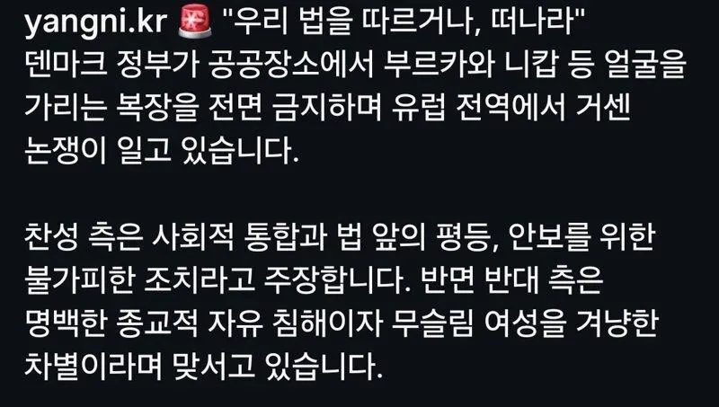 덴마크, 부르카 전면금지