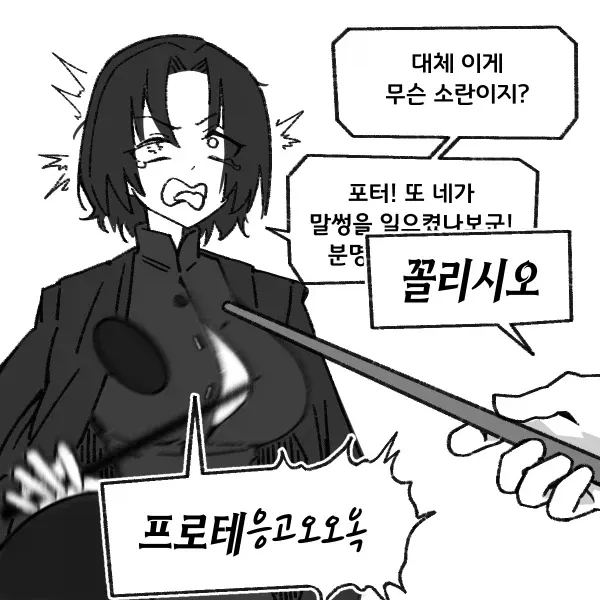 해리포터와 TS의 돌.manwha
