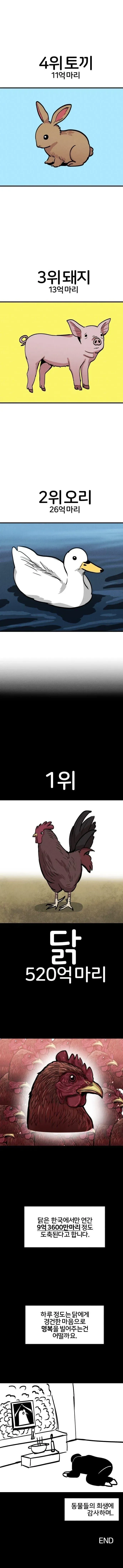 전세계 도축 동물 순위.jpg