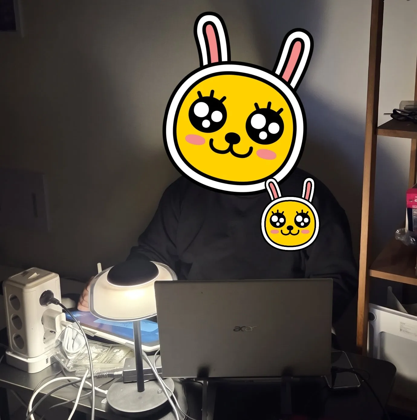 딸배하다가 전업으로 그림그린다는 사람 근황