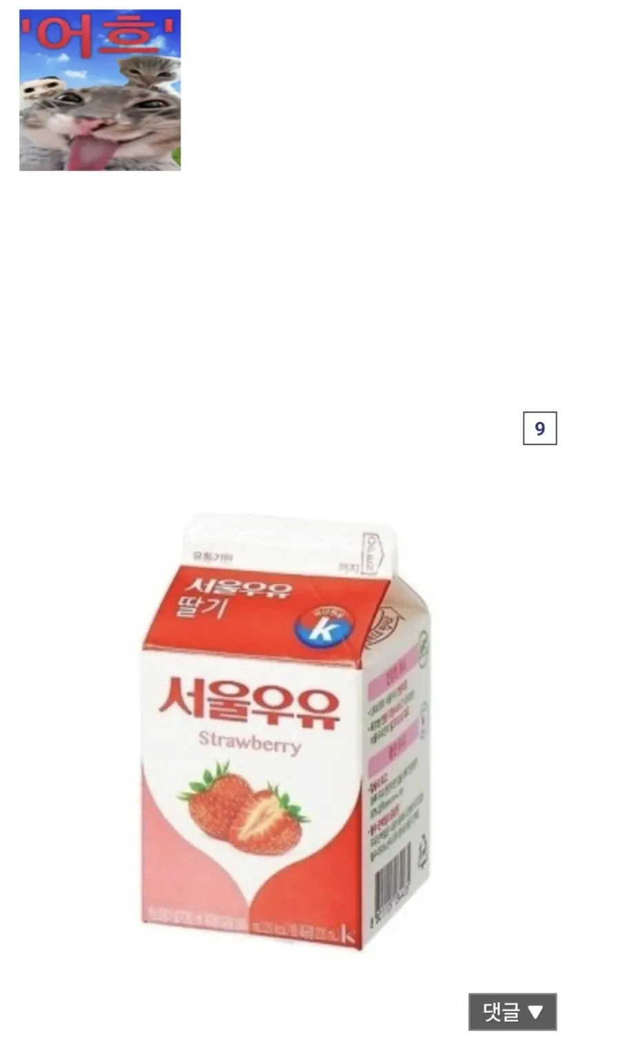 디시 싱갤에 글썻다가 서울우유한테 고소당한 썰