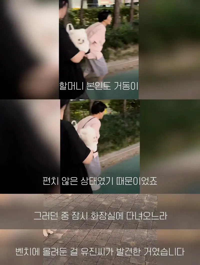 한강벤치 비닐봉지에담겨 버려진줄 알았던 강아지.jpg