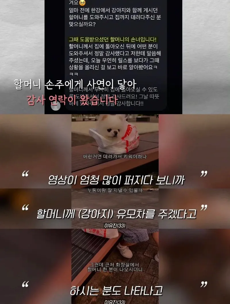 한강벤치 비닐봉지에담겨 버려진줄 알았던 강아지.jpg