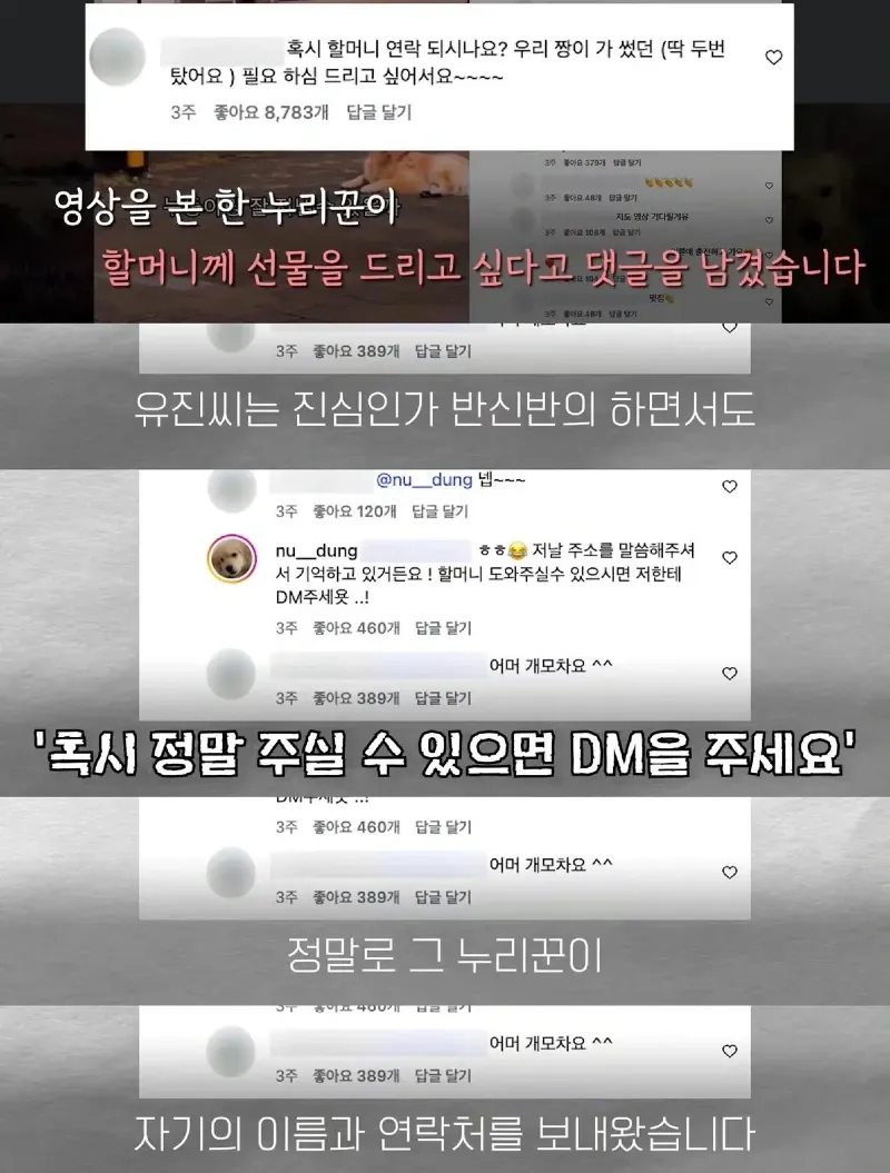 한강벤치 비닐봉지에담겨 버려진줄 알았던 강아지.jpg