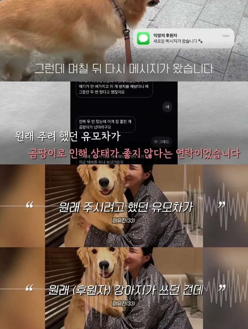 한강벤치 비닐봉지에담겨 버려진줄 알았던 강아지.jpg