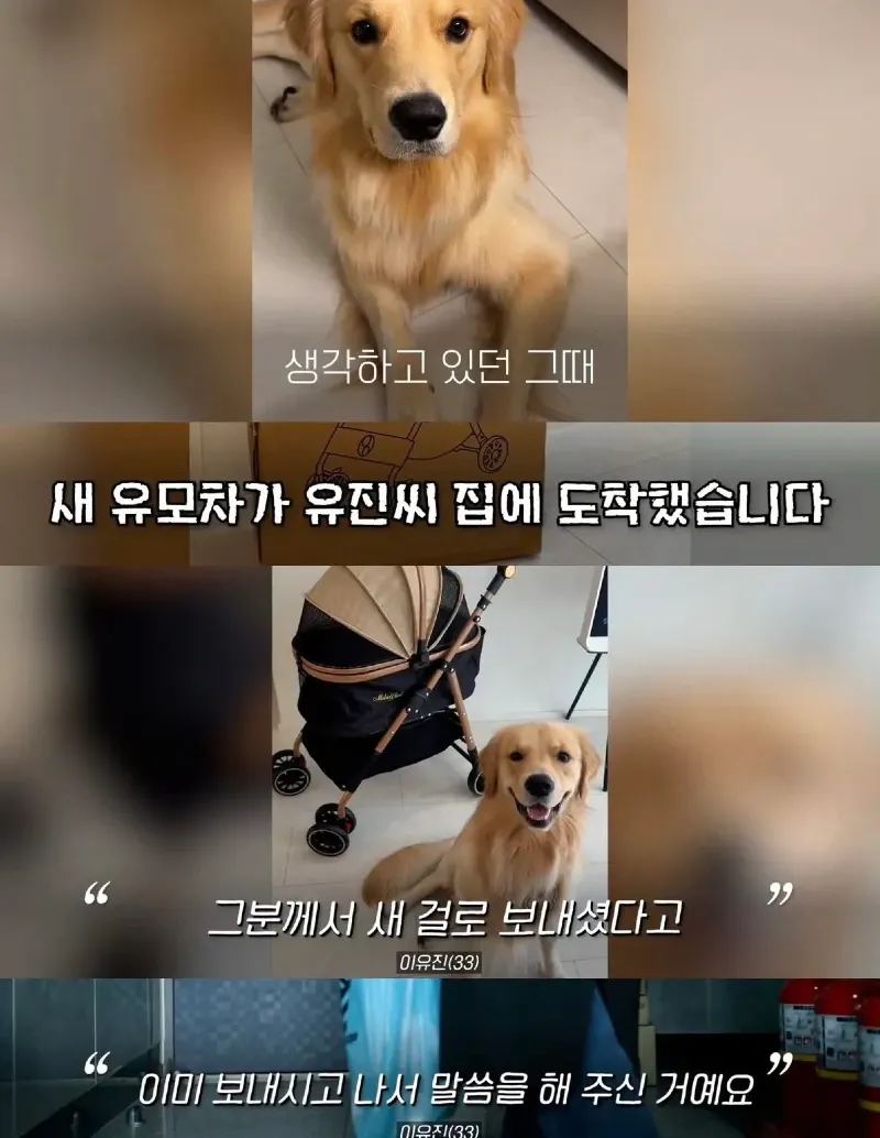 한강벤치 비닐봉지에담겨 버려진줄 알았던 강아지.jpg