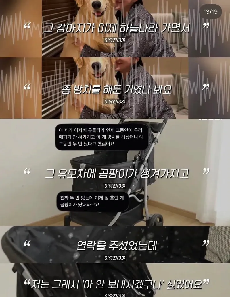 한강벤치 비닐봉지에담겨 버려진줄 알았던 강아지.jpg