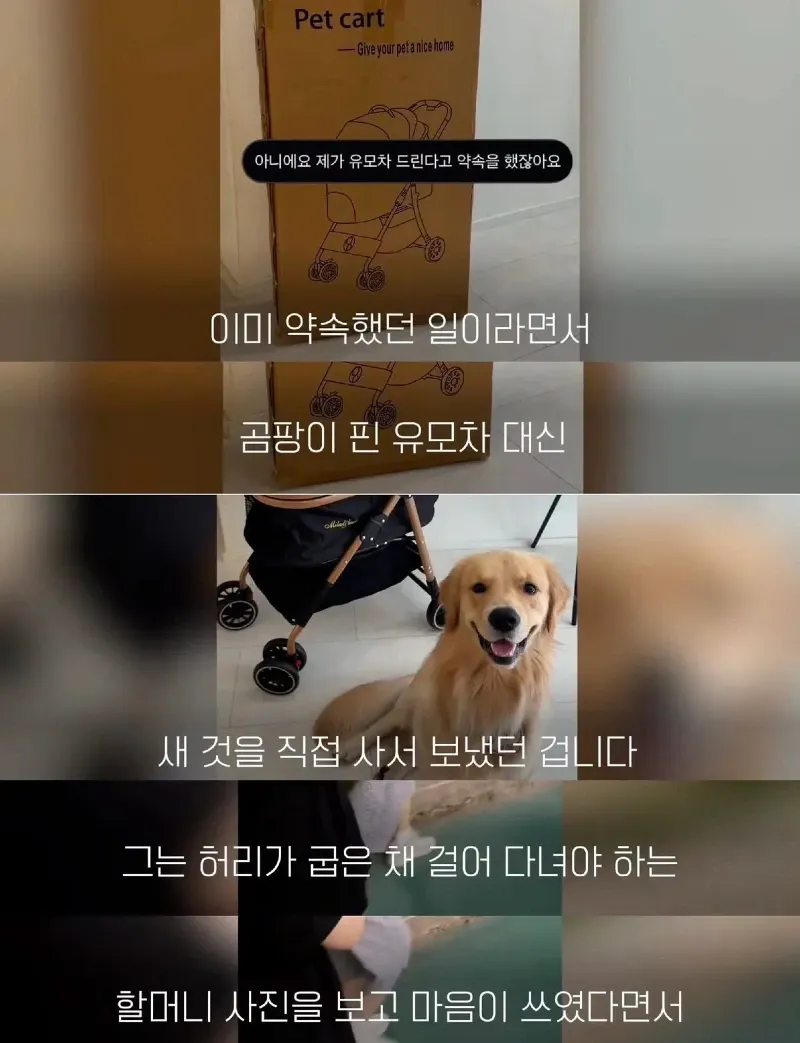 한강벤치 비닐봉지에담겨 버려진줄 알았던 강아지.jpg