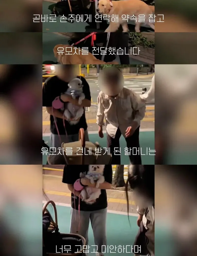한강벤치 비닐봉지에담겨 버려진줄 알았던 강아지.jpg