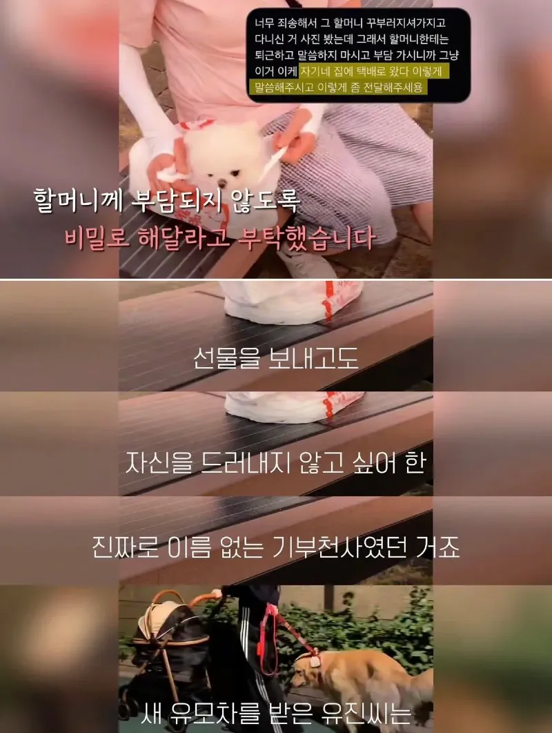 한강벤치 비닐봉지에담겨 버려진줄 알았던 강아지.jpg