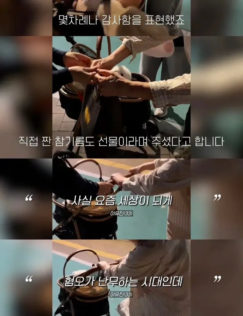 한강벤치 비닐봉지에담겨 버려진줄 알았던 강아지.jpg
