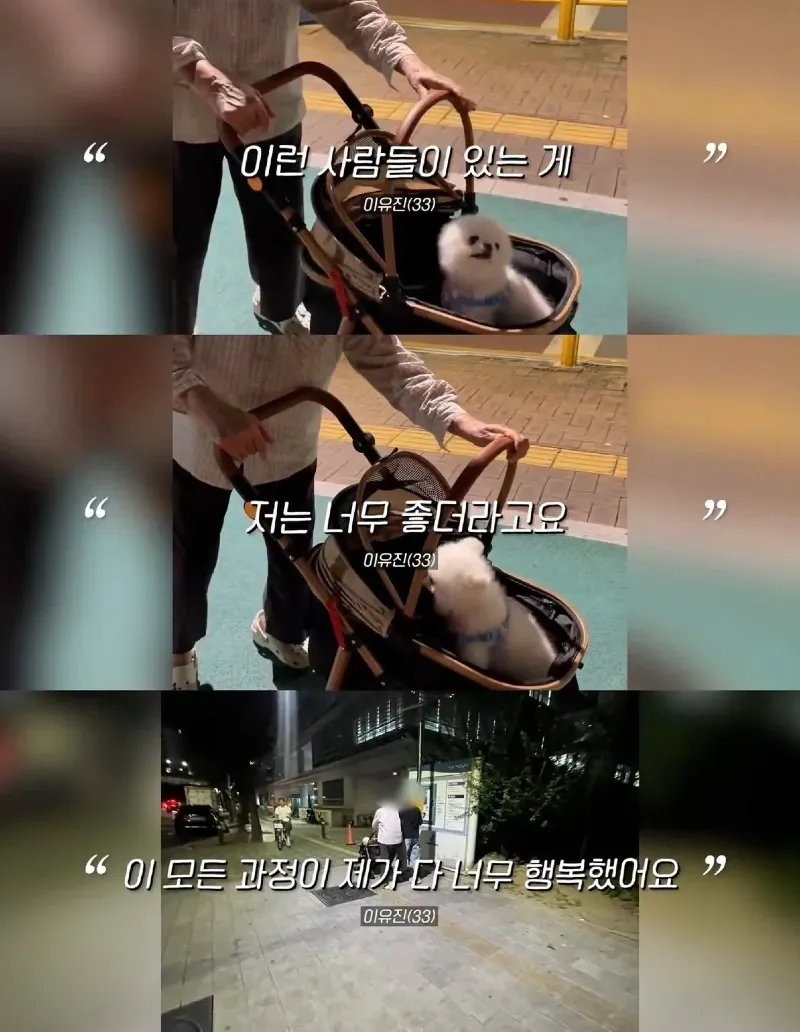 한강벤치 비닐봉지에담겨 버려진줄 알았던 강아지.jpg