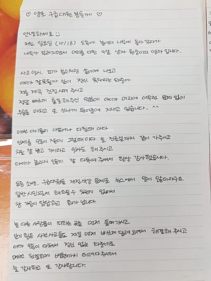 9살 남자 원숭이 엄마입니다
