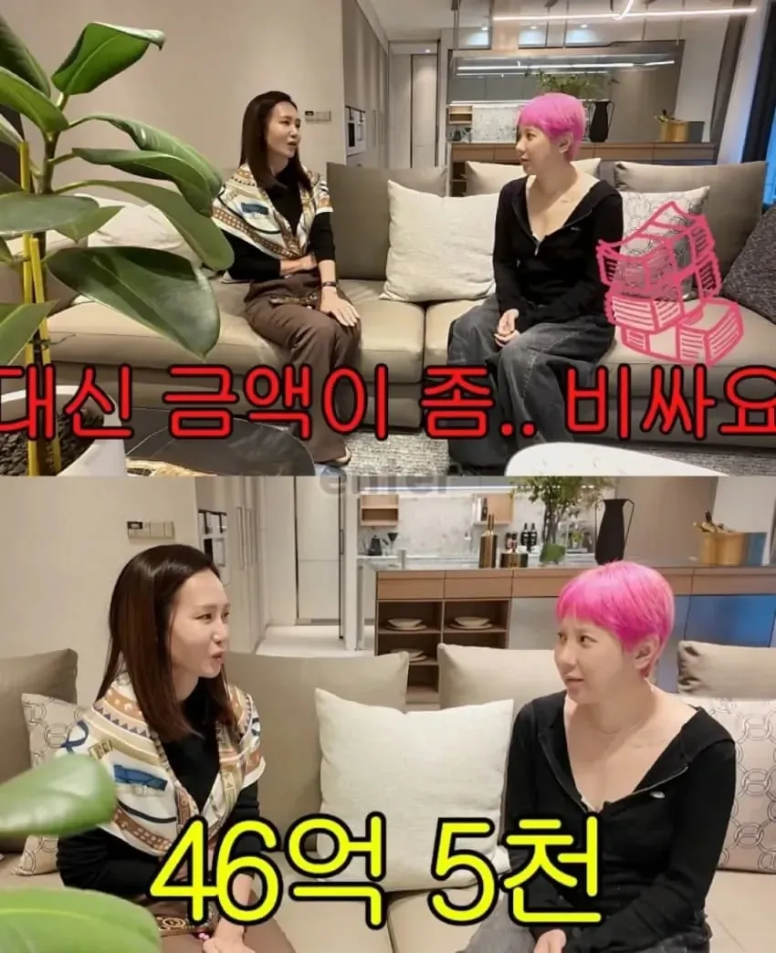 46억 집 구경하다 현타와서 우는 서인영