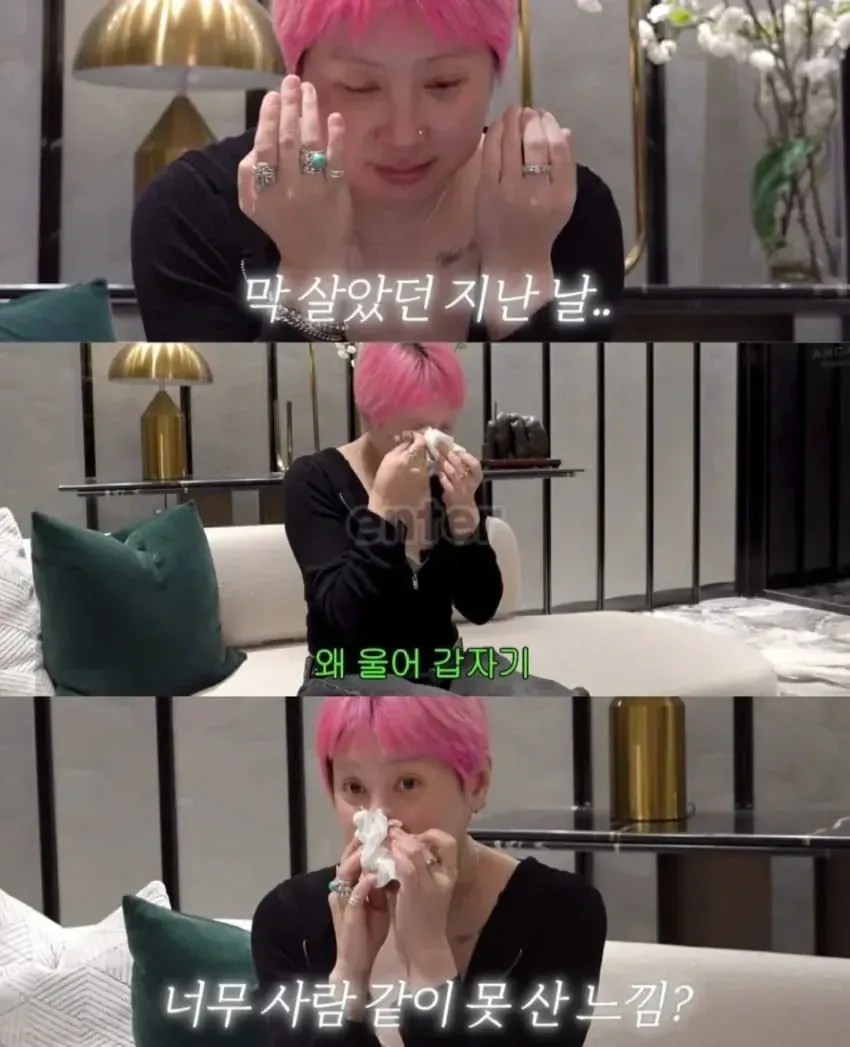 46억 집 구경하다 현타와서 우는 서인영
