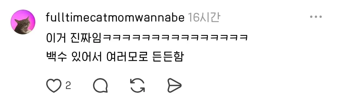 집에 백수 한 명 있으면 여러모로 요긴하게 쓰임