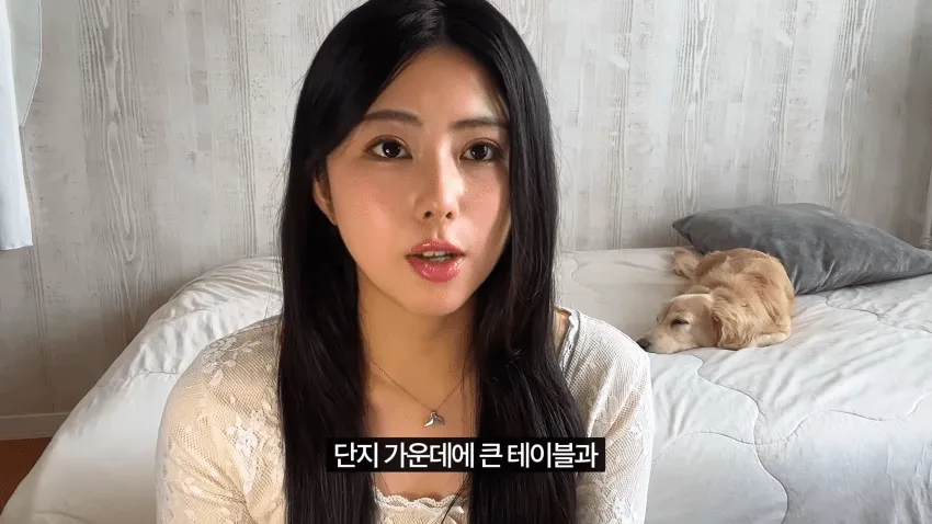 일본인 여자친구가 한국에서 입국 거부를 당했습니다