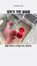 딸내미 도시락 싸기