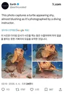 해외 반응 난리난 바다거북 사진.