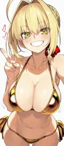 FGO) 골든 비키니 네로