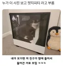 컴퓨터 중고 판매할때 고양이 키우는게 감점요소인 이유