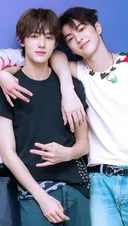 코르티스 안건호냐 엄성현이냐