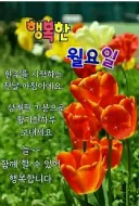 월요일 부처님 오신날 대체공휴일에 출근하는 유게이들 읍제?