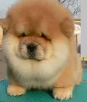 부모님 자영업하니 좋은점