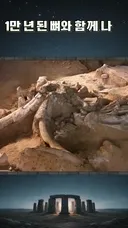 1만 년 된 뼈와 함께 나온 알루미늄 덩어리, Wedge of Aiud