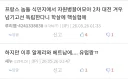 요즘 인터넷에 역사 관련 글 올라올 때 마다 가장 ㅈ같은 것