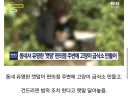 주민간의 총력전으로 길고양이만 신난 상황.jpg