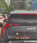 전기차)이브이