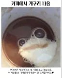 ㅁㅊ 커피에서 개구리나옴 ㄷㄷ