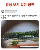 야생에서 보기 힘든 장면을 찍은