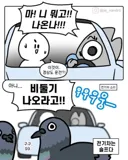 대구 웹툰 작가가 전기차 탈 때 소리지르는 이유