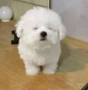 이제 슬슬 여름이로군