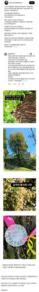 현재 난리난 부암동 유명 미술관 은행나무 제초제 사건