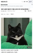 주식 너무 열심히 하면 안되는 이유.jpg