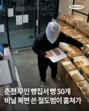 무인 빵집에서 빵 50개 훔쳐간 도둑.jpg
