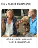 미용실 다녀온 뒤로 표독해진 골댕이