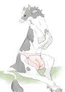 암컷 거유 가슴볼때마다
