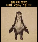 화가 많으면 펭귄으로 보임.jpg