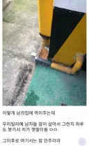 효과적인 캣맘 퇴치방법