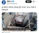 금 캐려고 주택 앞 지하실 만든 70대…20m 아래 추락해 숨져