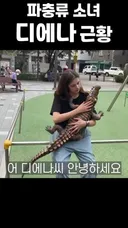 추억의 파충류소녀 김디에나 근황.gif