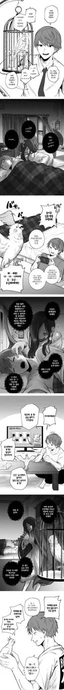 한때 인기였던 얀데레와 앵무새 만화 이후 이야기까지.jpg